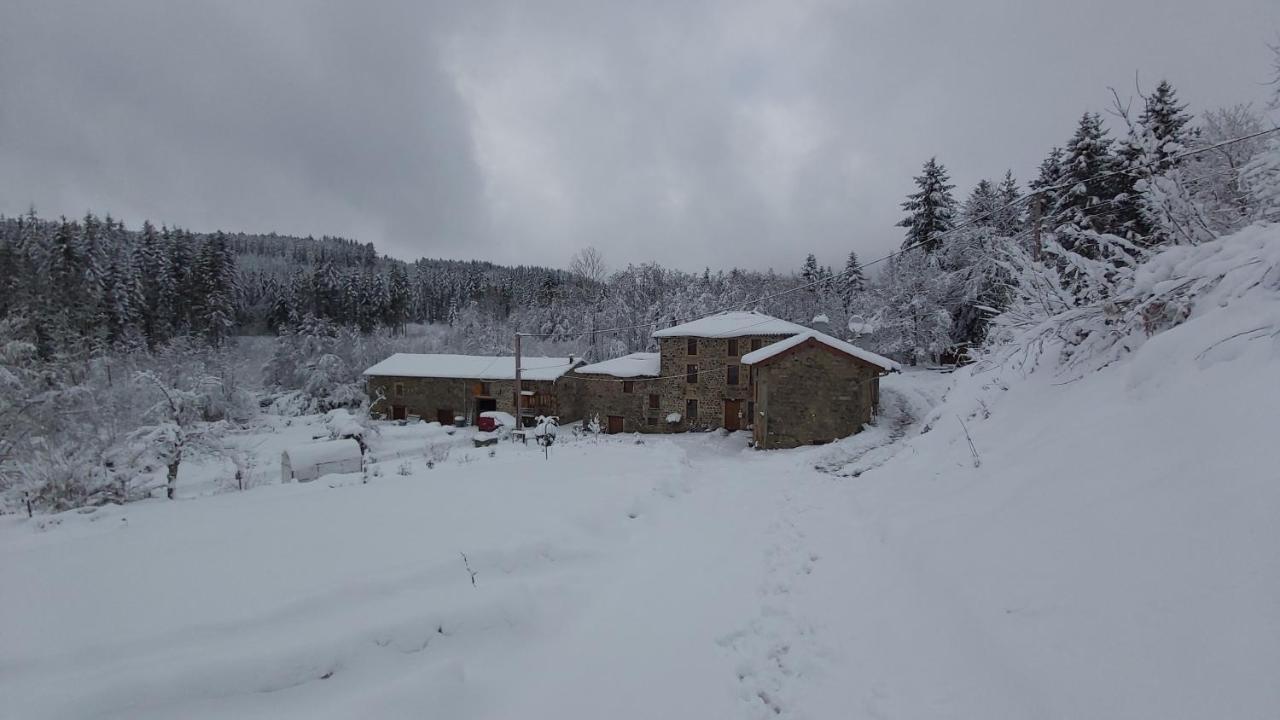 Gite Du Moulin Chenelette Zewnętrze zdjęcie